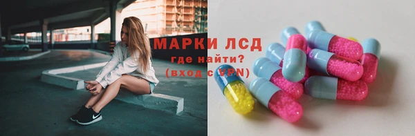 шишки Карпинск