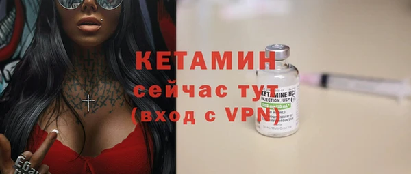 шишки Карпинск