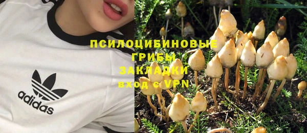 шишки Карпинск