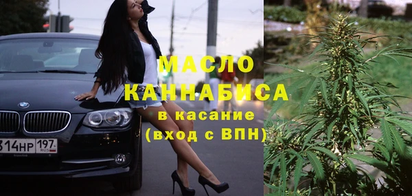 шишки Карпинск