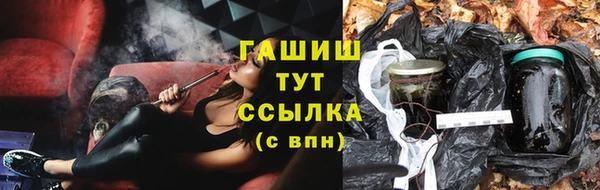 шишки Карпинск