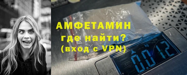 шишки Карпинск