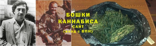 шишки Карпинск